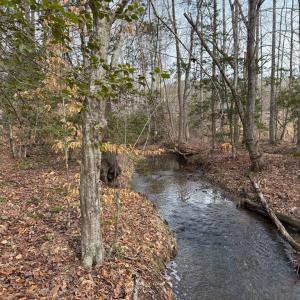 Photo #9 of  35.0 acres