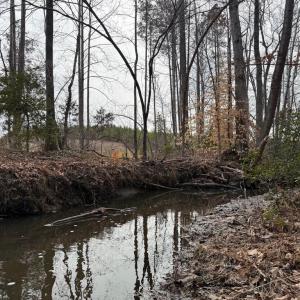 Photo #12 of  35.0 acres