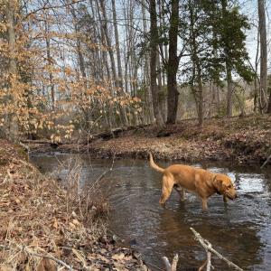 Photo #14 of  35.0 acres