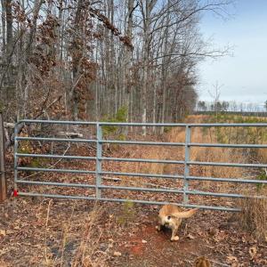 Photo #41 of  35.0 acres