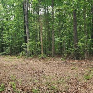 Photo #6 of ORCHID LAKE DR, GUM SPRING, VA 0.3 acres