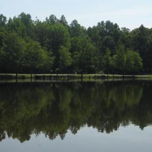 Photo #2 of ORCHID LAKE DR, GUM SPRING, VA 0.3 acres