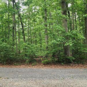 Photo #18 of ORCHID LAKE DR, GUM SPRING, VA 0.3 acres