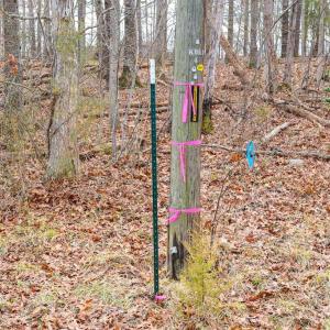 Photo #29 of RIVERBEND DR, LURAY, VA 0.8 acres