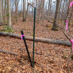 Photo #30 of RIVERBEND DR, LURAY, VA 0.8 acres