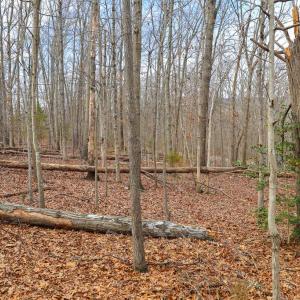 Photo #32 of RIVERBEND DR, LURAY, VA 0.8 acres