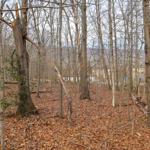 Photo #33 of RIVERBEND DR, LURAY, VA 0.8 acres