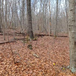Photo #34 of RIVERBEND DR, LURAY, VA 0.8 acres