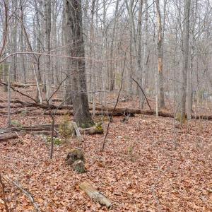 Photo #35 of RIVERBEND DR, LURAY, VA 0.8 acres