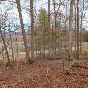 Photo #36 of RIVERBEND DR, LURAY, VA 0.8 acres