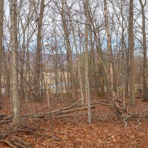 Photo #31 of RIVERBEND DR, LURAY, VA 0.8 acres