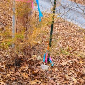Photo #28 of RIVERBEND DR, LURAY, VA 0.8 acres
