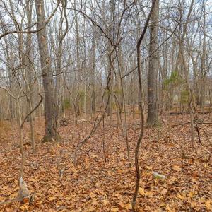 Photo #30 of RIVERBEND DR, LURAY, VA 0.8 acres