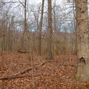 Photo #31 of RIVERBEND DR, LURAY, VA 0.8 acres