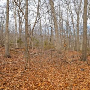 Photo #32 of RIVERBEND DR, LURAY, VA 0.8 acres