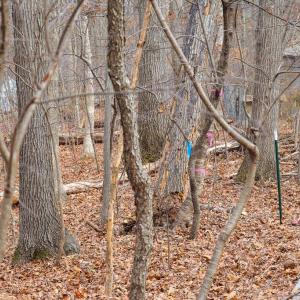 Photo #33 of RIVERBEND DR, LURAY, VA 0.8 acres