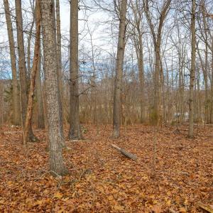Photo #35 of RIVERBEND DR, LURAY, VA 0.8 acres