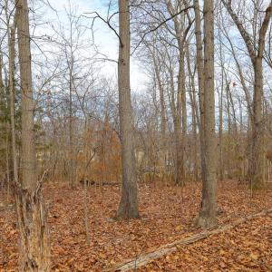 Photo #36 of RIVERBEND DR, LURAY, VA 0.8 acres