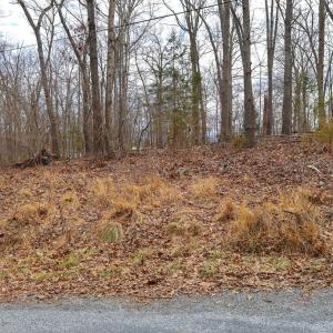Photo #37 of RIVERBEND DR, LURAY, VA 0.8 acres