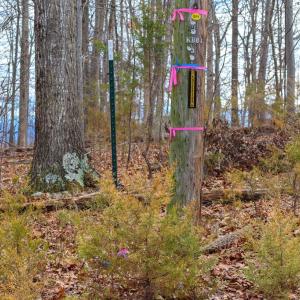 Photo #38 of RIVERBEND DR, LURAY, VA 0.8 acres