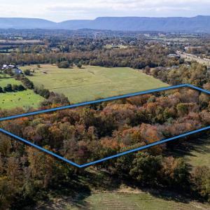 Photo #9 of DRY RUN RD, LURAY, VA 10.4 acres