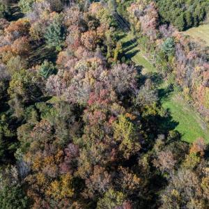 Photo #27 of DRY RUN RD, LURAY, VA 10.4 acres