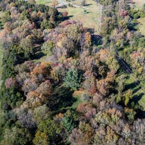 Photo #28 of DRY RUN RD, LURAY, VA 10.4 acres