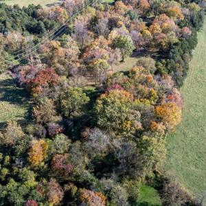 Photo #30 of DRY RUN RD, LURAY, VA 10.4 acres