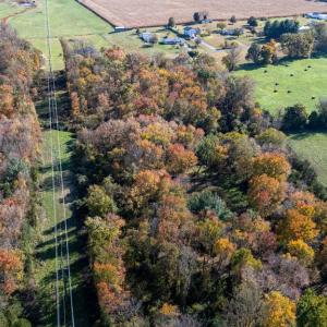 Photo #34 of DRY RUN RD, LURAY, VA 10.4 acres