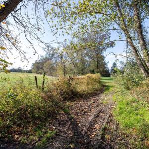 Photo #36 of DRY RUN RD, LURAY, VA 10.4 acres