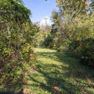 Photo #40 of DRY RUN RD, LURAY, VA 10.4 acres