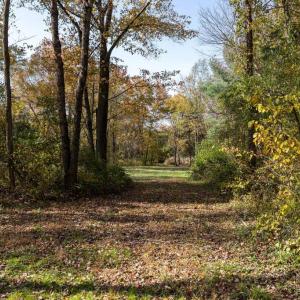 Photo #41 of DRY RUN RD, LURAY, VA 10.4 acres