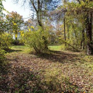 Photo #42 of DRY RUN RD, LURAY, VA 10.4 acres