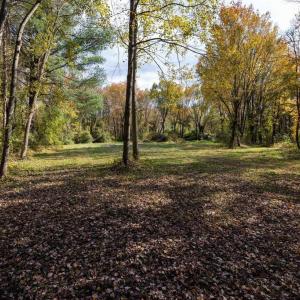 Photo #49 of DRY RUN RD, LURAY, VA 10.4 acres