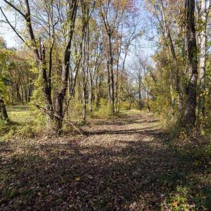 Photo #52 of DRY RUN RD, LURAY, VA 10.4 acres