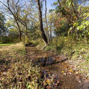 Photo #54 of DRY RUN RD, LURAY, VA 10.4 acres