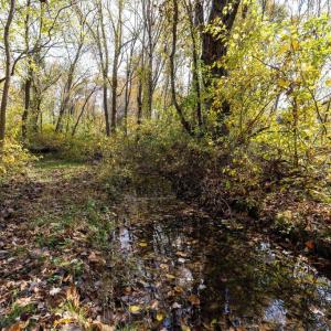 Photo #55 of DRY RUN RD, LURAY, VA 10.4 acres