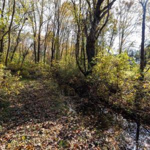 Photo #56 of DRY RUN RD, LURAY, VA 10.4 acres