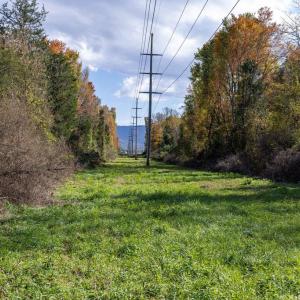 Photo #58 of DRY RUN RD, LURAY, VA 10.4 acres