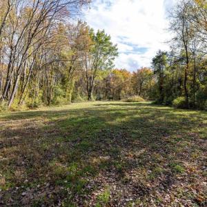 Photo #60 of DRY RUN RD, LURAY, VA 10.4 acres