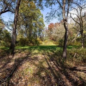 Photo #64 of DRY RUN RD, LURAY, VA 10.4 acres