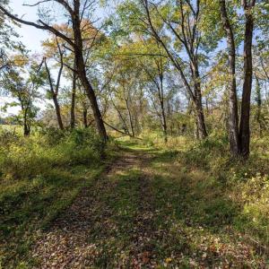 Photo #65 of DRY RUN RD, LURAY, VA 10.4 acres