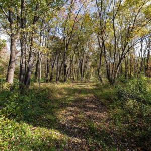 Photo #66 of DRY RUN RD, LURAY, VA 10.4 acres