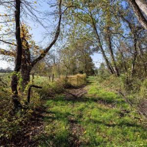Photo #67 of DRY RUN RD, LURAY, VA 10.4 acres