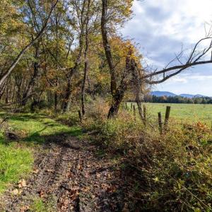 Photo #68 of DRY RUN RD, LURAY, VA 10.4 acres