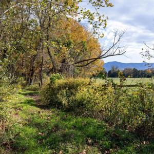 Photo #69 of DRY RUN RD, LURAY, VA 10.4 acres