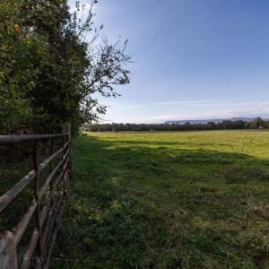 Photo #70 of DRY RUN RD, LURAY, VA 10.4 acres