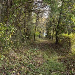 Photo #71 of DRY RUN RD, LURAY, VA 10.4 acres