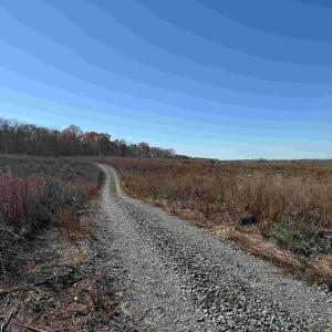Photo #5 of WINNSVILLE DRIVE (TRACT: TANAGER ET2 2021), BREMO BLUFF, VA 159.0 acres