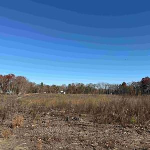 Photo #14 of WINNSVILLE DRIVE (TRACT: TANAGER ET2 2021), BREMO BLUFF, VA 159.0 acres